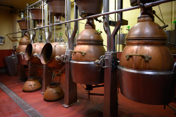 How Does the Gin Distillation Process Affect Its ABV Percentage ...