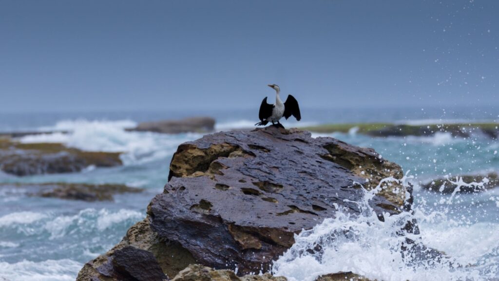 Plan your getaway around Queensland’s seasonal nature and wildlife calendar