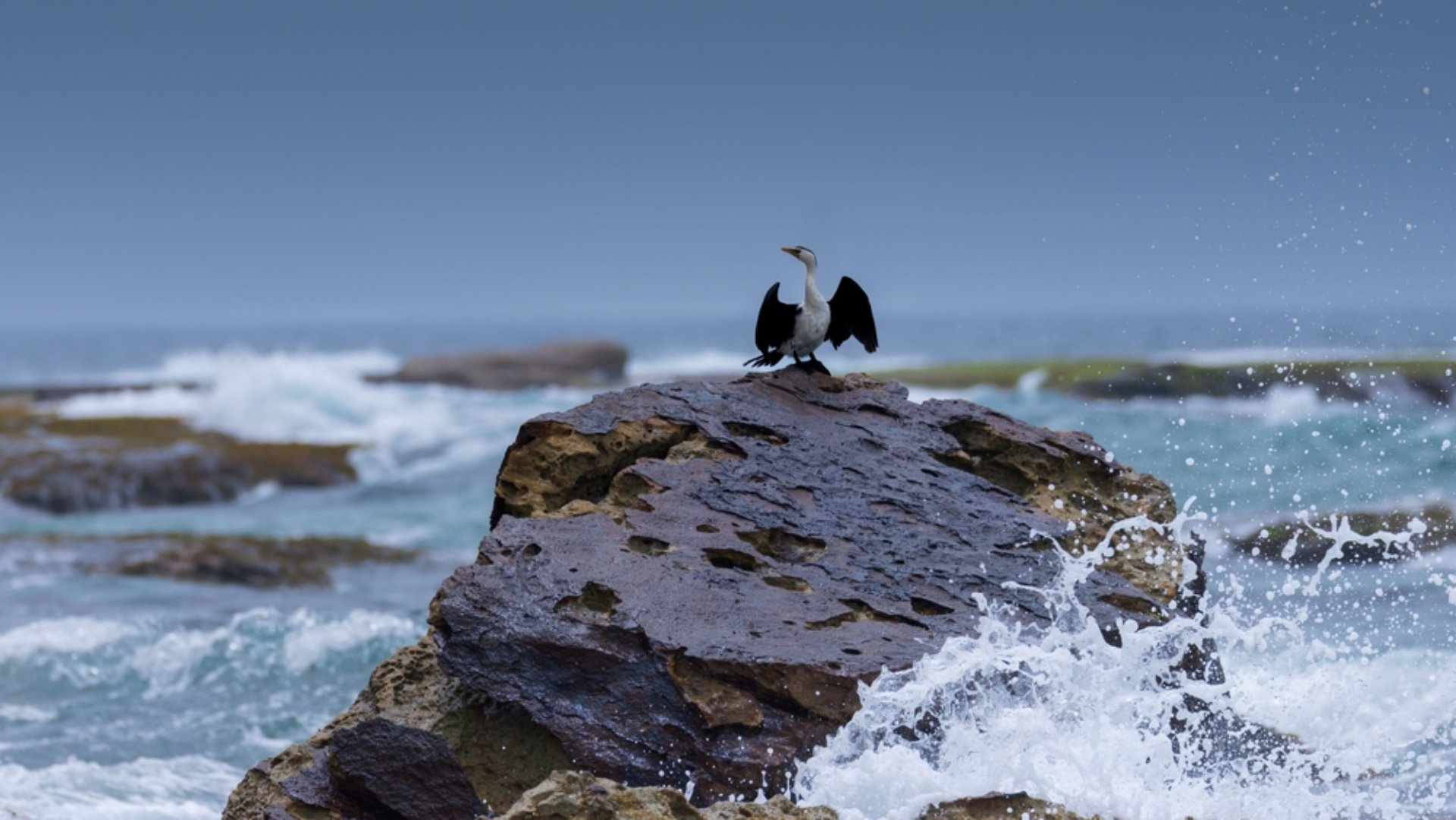 Plan your getaway around Queensland’s seasonal nature and wildlife calendar