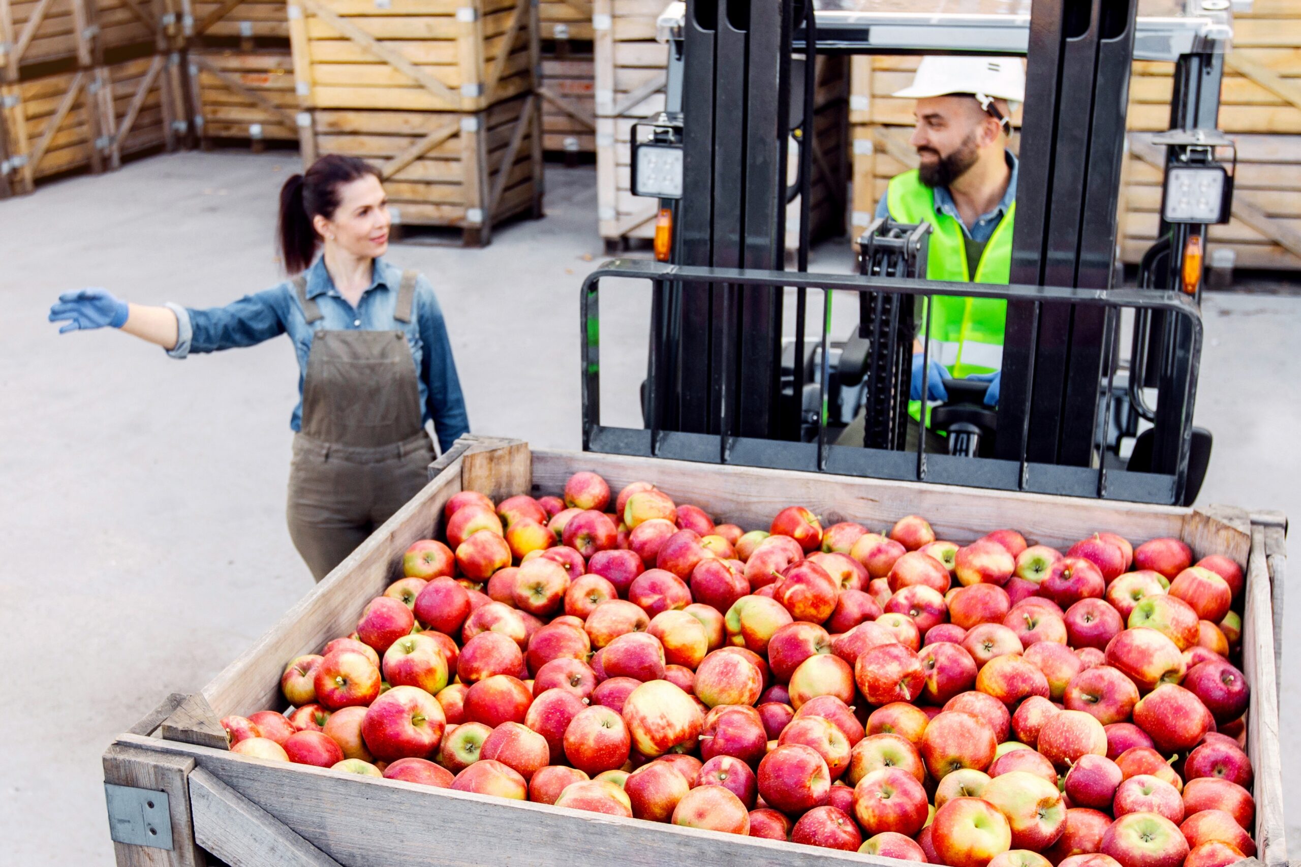 Refrigerated truck team transporting fresh food with perishable goods transport, refrigerated transport services, and cold chain transport solutions.
