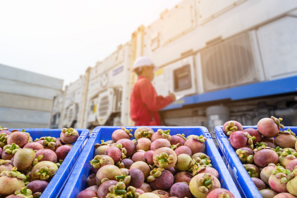 Cross-docking facility handling cross docking refrigerated transport, supported by refrigerated transport companies in Australia and chilled logistics services.