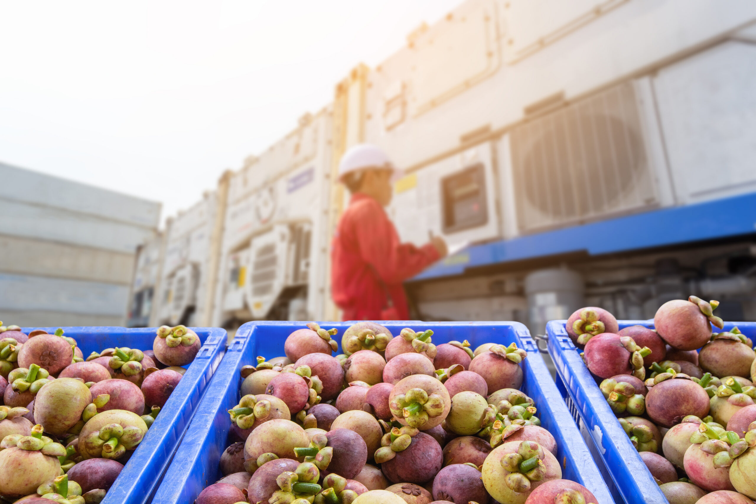Cross-docking facility handling cross docking refrigerated transport, supported by refrigerated transport companies in Australia and chilled logistics services.